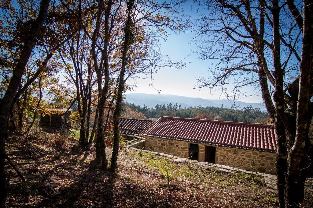 발르 드 캄브라 Casas Dos Avos 게스트하우스 객실 사진